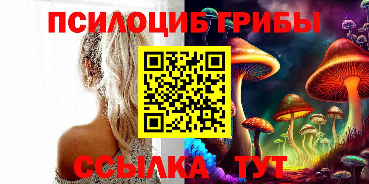 даркнет сайт  Галлюциногенные грибы MAGIC MUSHROOMS  Вход с VPN  Россия 